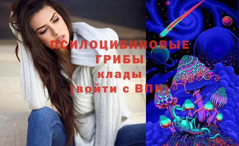 купить наркотик  Демидов  Галлюциногенные грибы Cubensis 